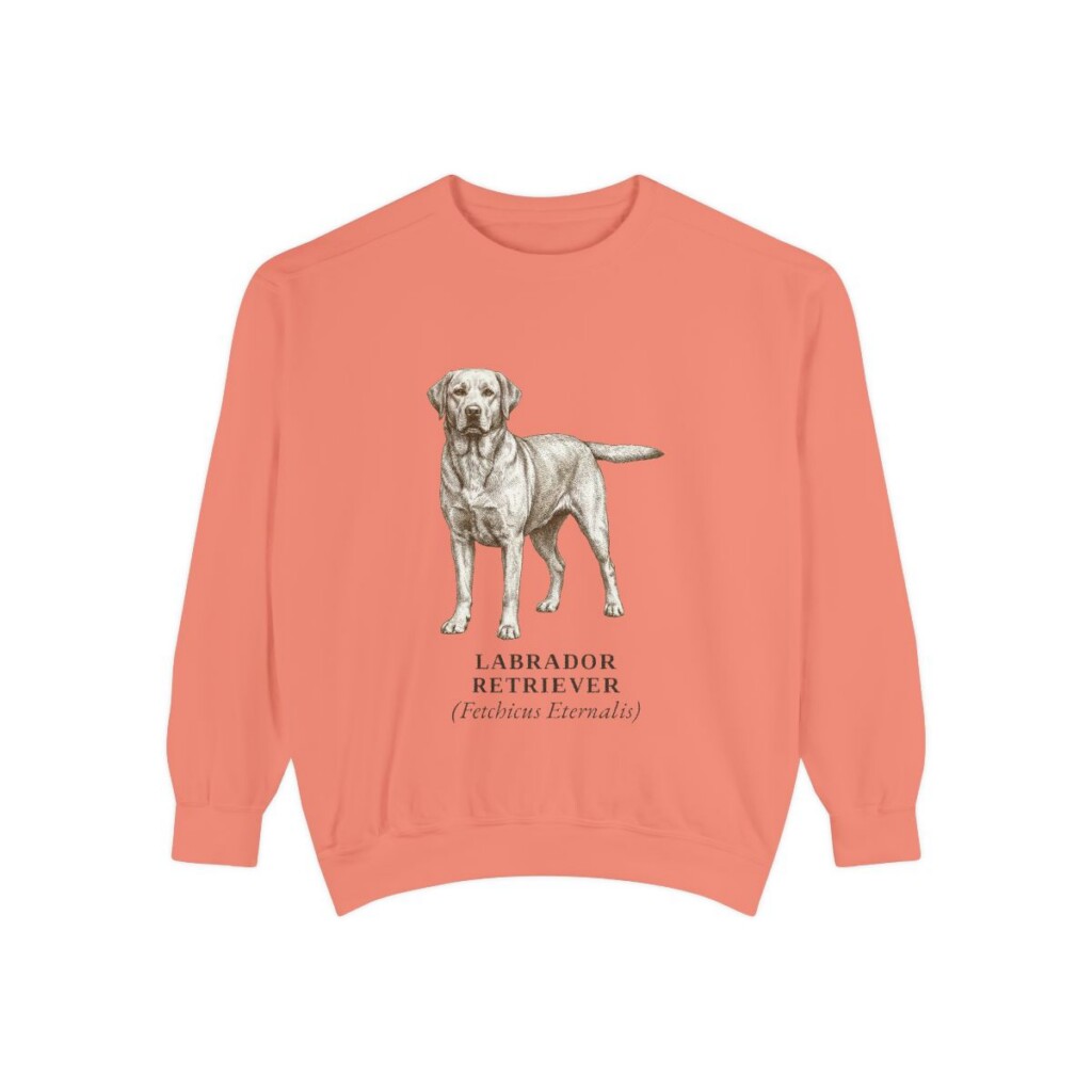 Labrador Retriever Latin Sweatshirt, Terracotta, front view