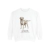 Labrador Retriever Latin Sweatshirt, White, front view