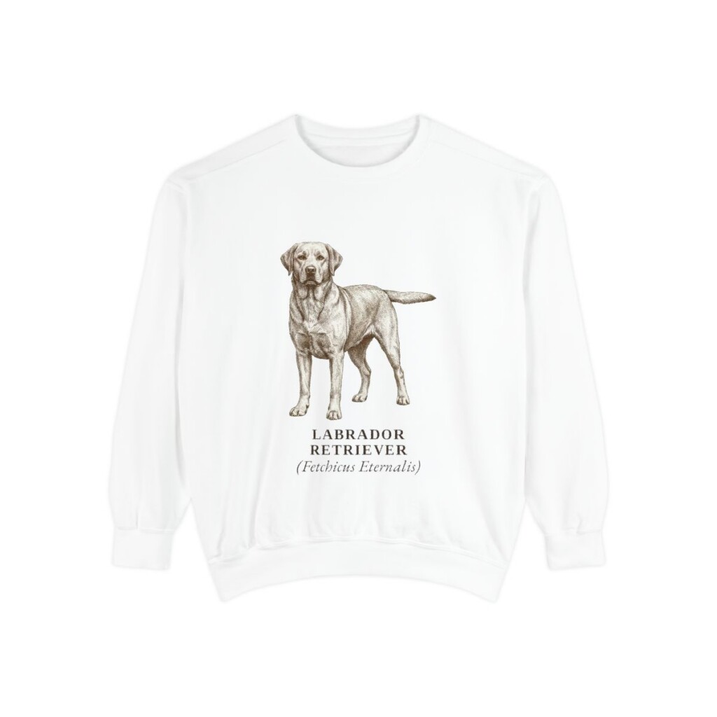 Labrador Retriever Latin Sweatshirt, White, front view
