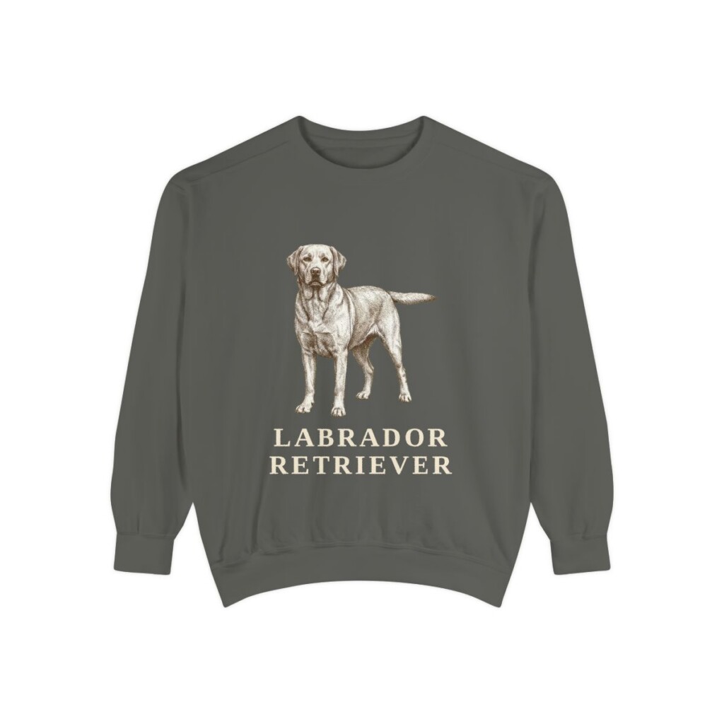 Labrador Retriever Sweatshirt, Pepper, front view