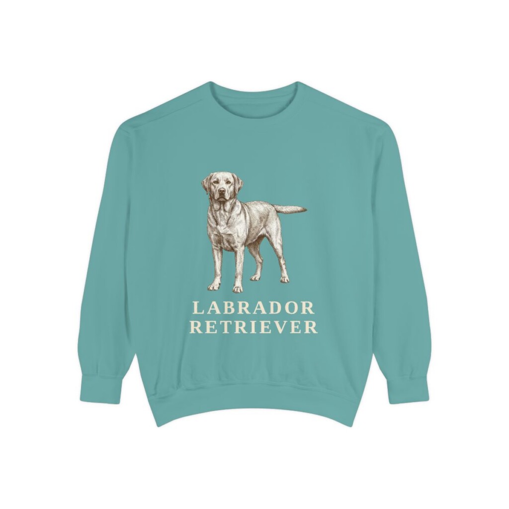 Labrador Retriever Sweatshirt, Seafoam, front view