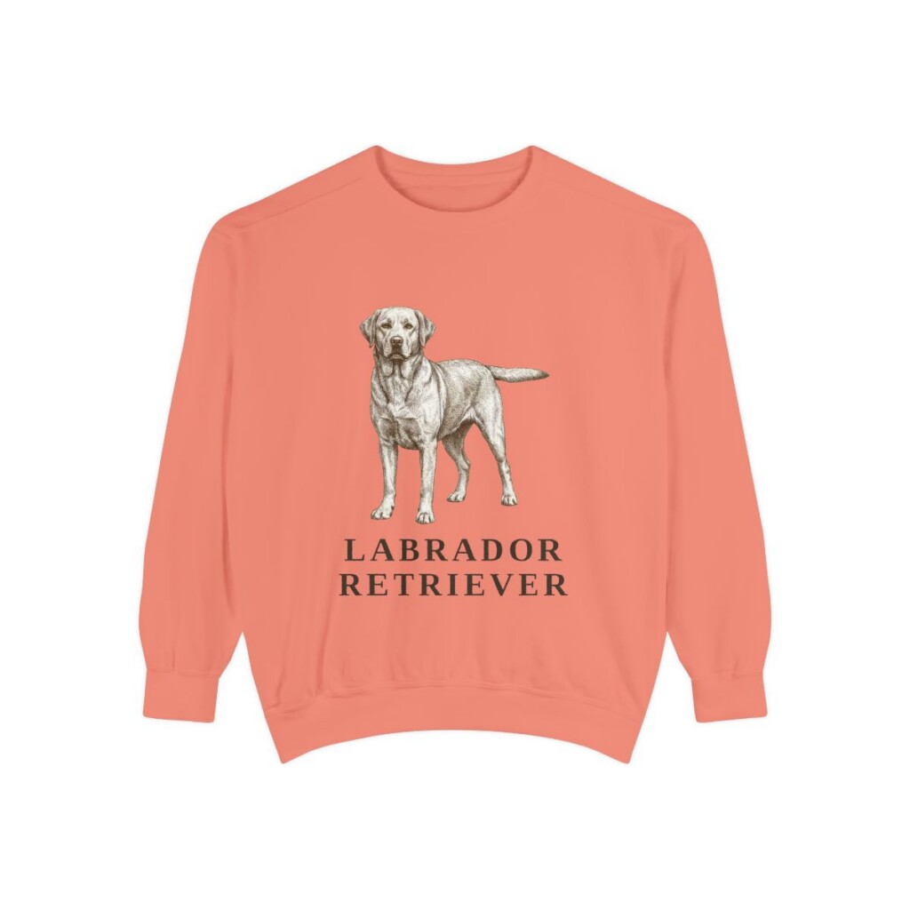 Labrador Retriever Sweatshirt, Terracotta, front view