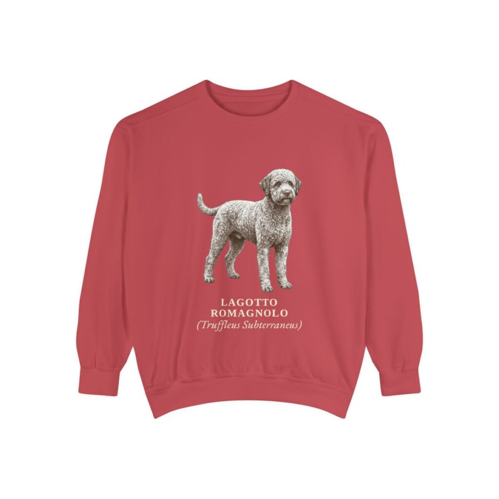 lagotto-romagnolo-sweatshirt-latin-crimson Lagotto Romagnolo Latin Sweatshirt, Crimson, front view
