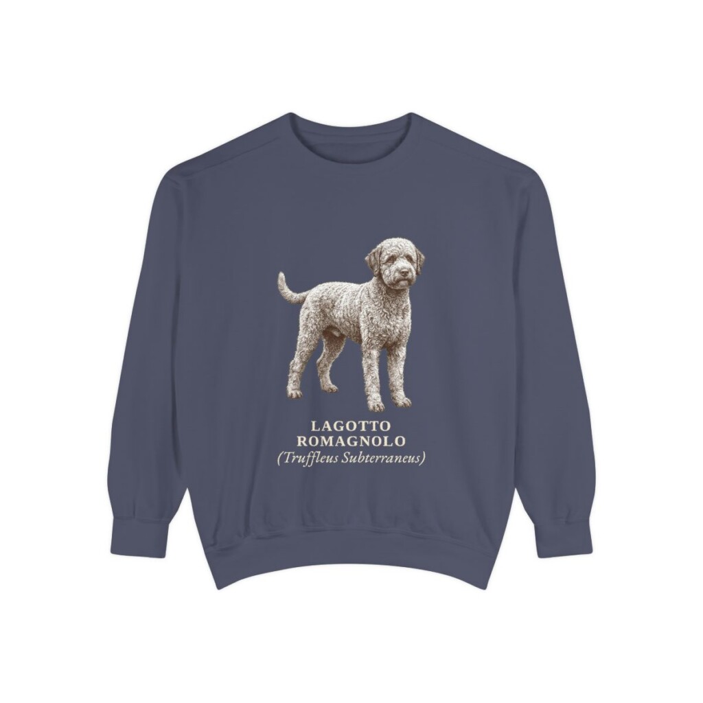 lagotto-romagnolo-sweatshirt-latin-denim Lagotto Romagnolo Latin Sweatshirt, Denim, front view