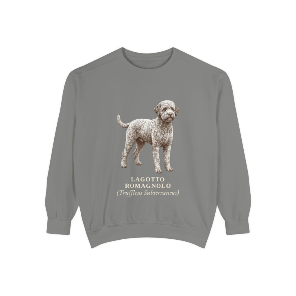 lagotto-romagnolo-sweatshirt-latin-grey Lagotto Romagnolo Latin Sweatshirt, Grey, front view