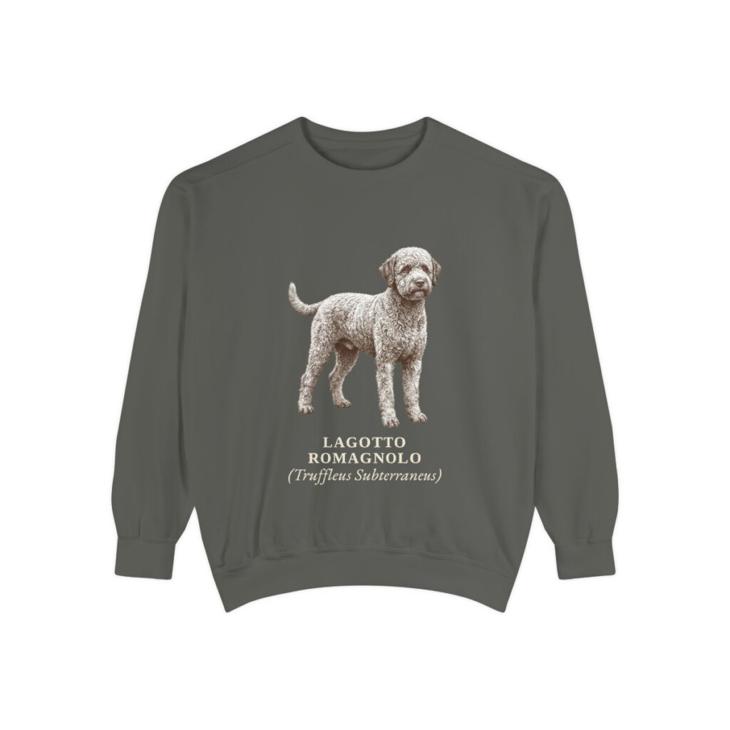lagotto-romagnolo-sweatshirt-latin-pepper Lagotto Romagnolo Latin Sweatshirt, Pepper, front view
