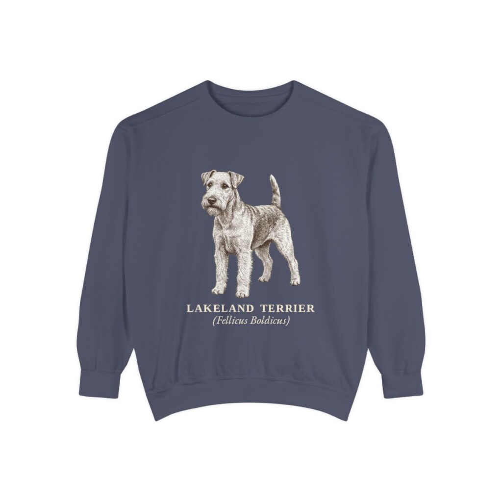 Lakeland Terrier Latin Sweatshirt, Denim, front view