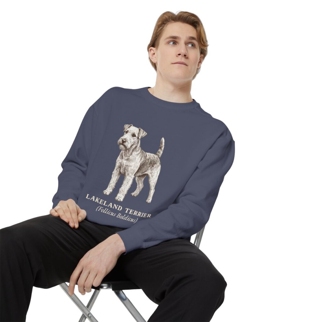 Lakeland Terrier Latin Sweatshirt, Denim, person 1 context