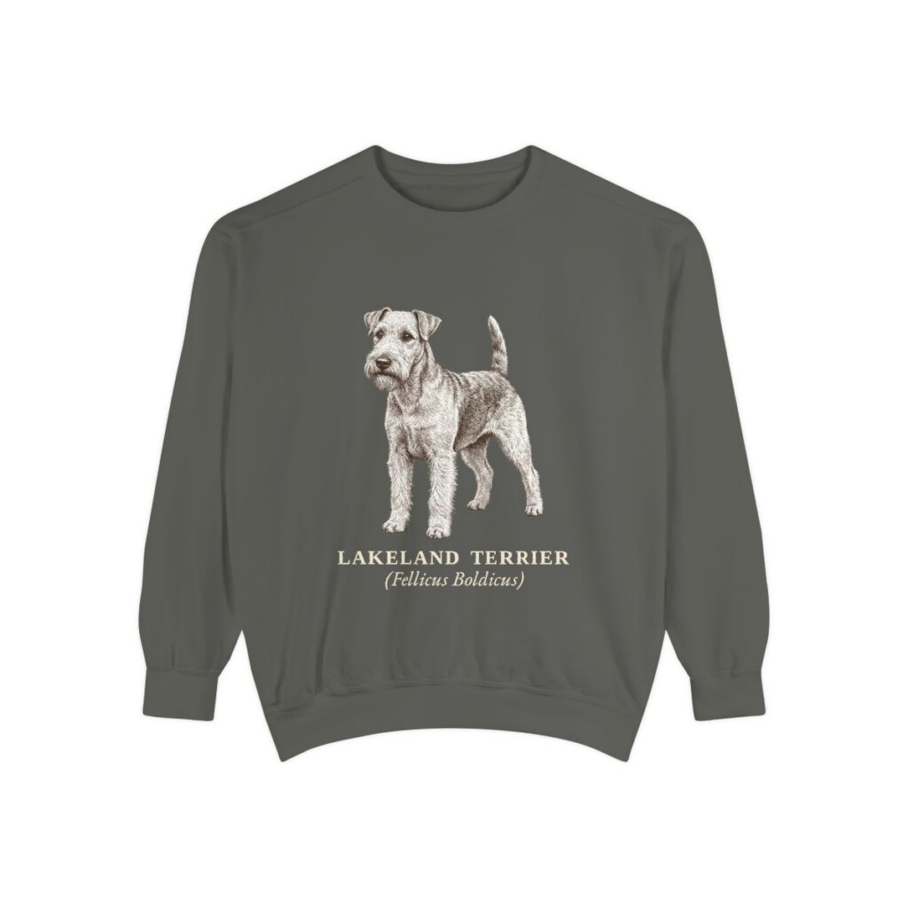 Lakeland Terrier Latin Sweatshirt, Pepper, front view