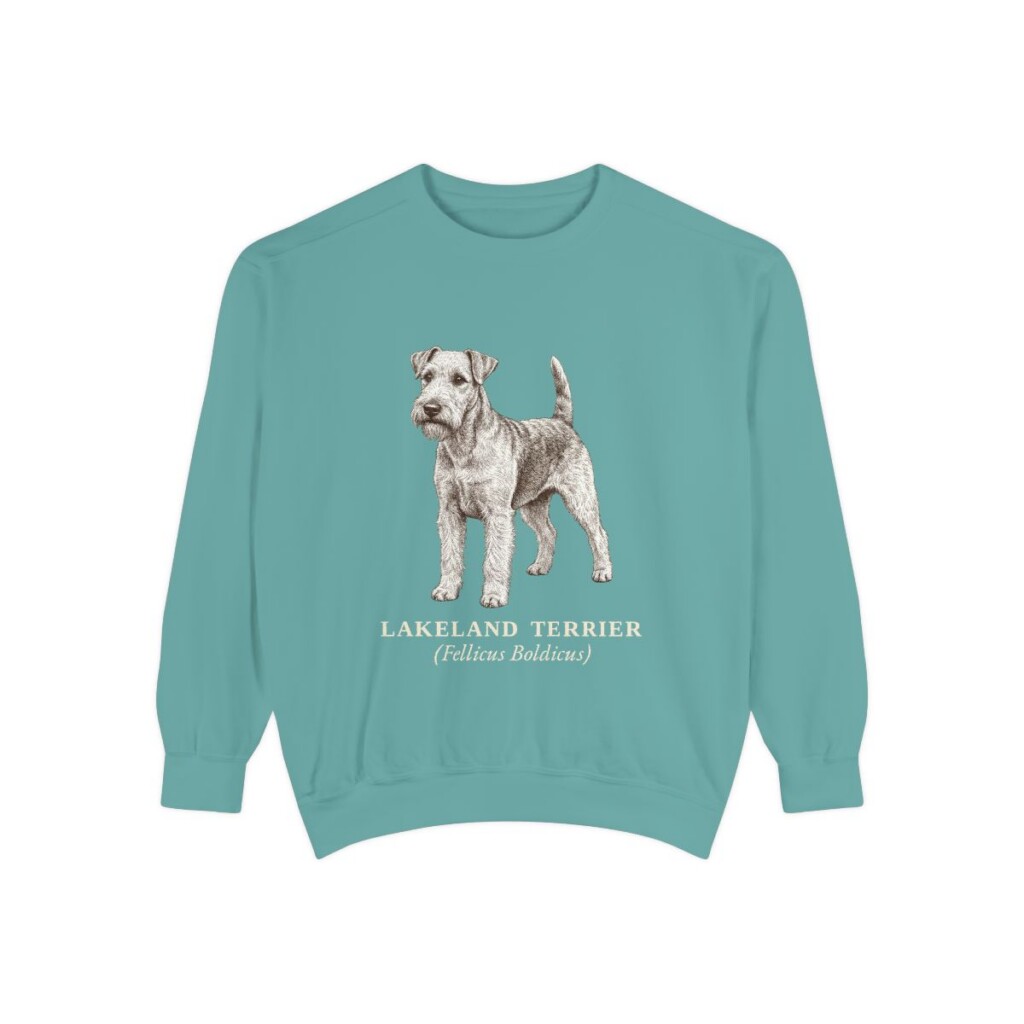 Lakeland Terrier Latin Sweatshirt, Seafoam, front view