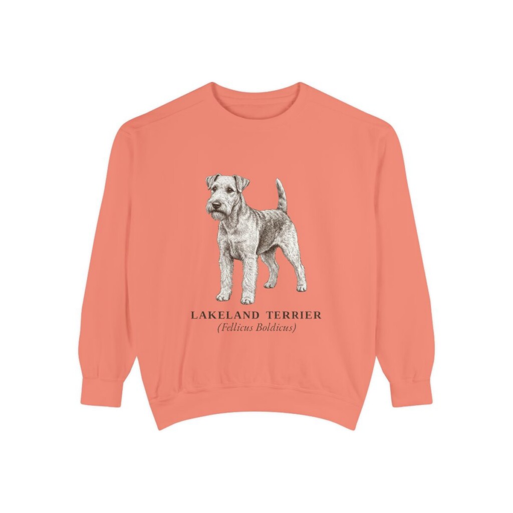 Lakeland Terrier Latin Sweatshirt, Terracotta, front view