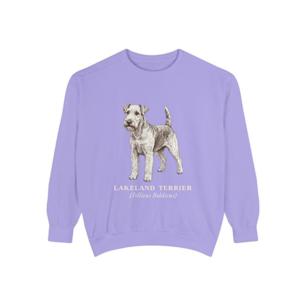 Lakeland Terrier Latin Sweatshirt, Violet, front view
