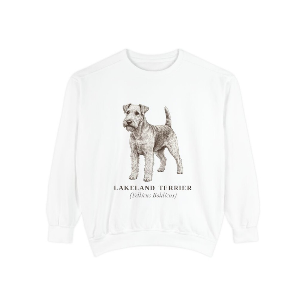 Lakeland Terrier Latin Sweatshirt, White, front view