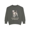 Lakeland Terrier Sweatshirt, Pepper, front view