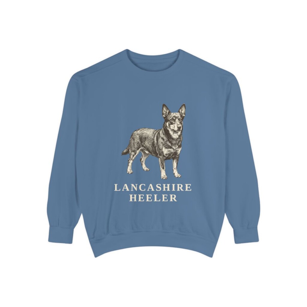 Lancashire Heeler Sweatshirt, Blue Jean, front view
