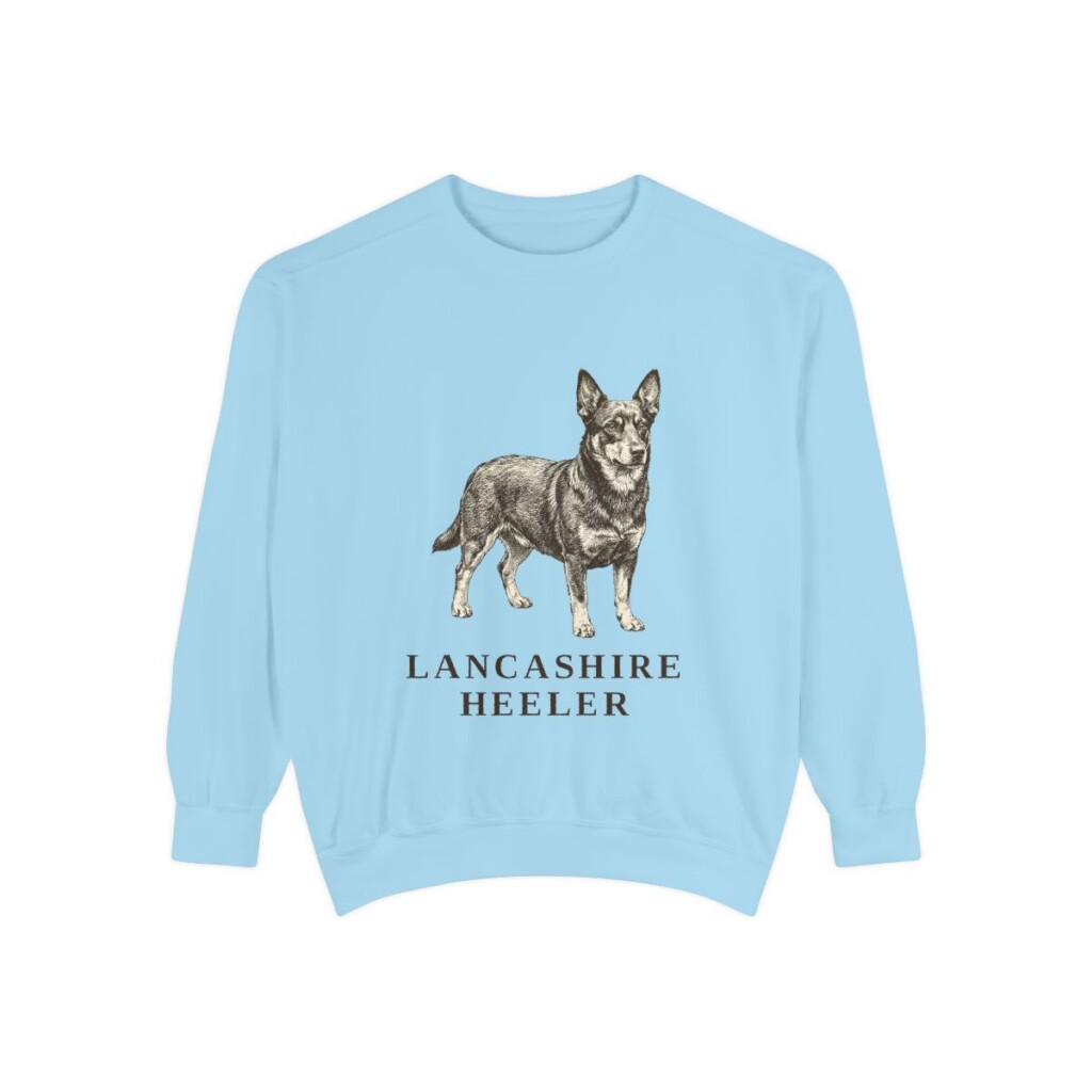 Lancashire Heeler Sweatshirt, Chambray, front view