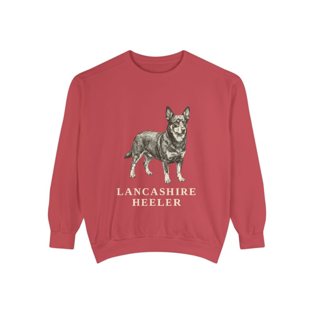 Lancashire Heeler Sweatshirt, Crimson, front view