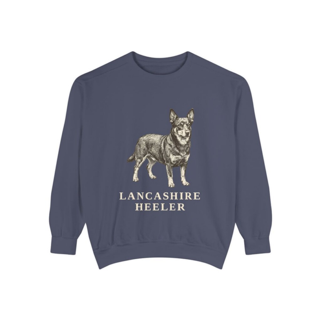 Lancashire Heeler Sweatshirt, Denim, front view