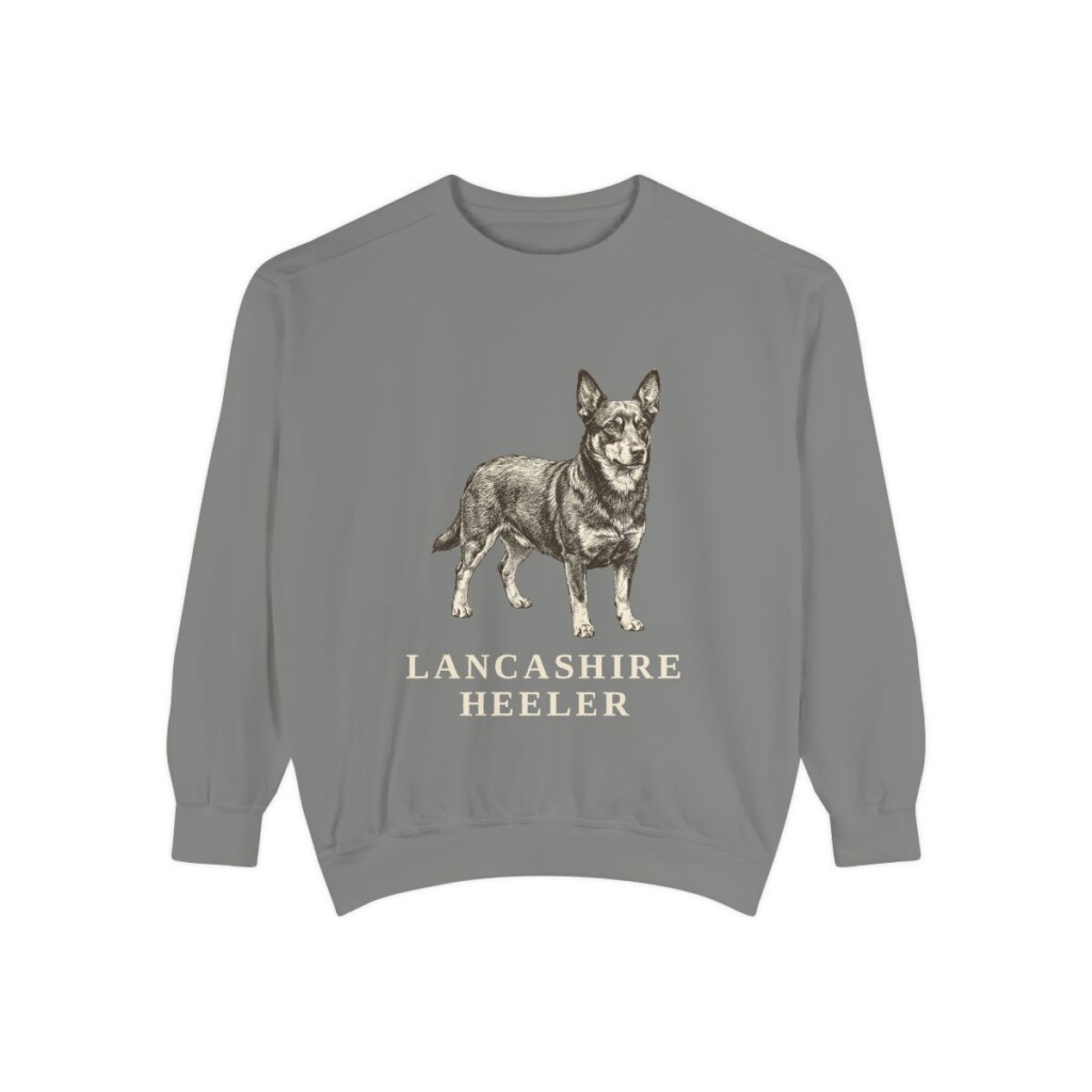 Lancashire Heeler Sweatshirt, Grey, front view