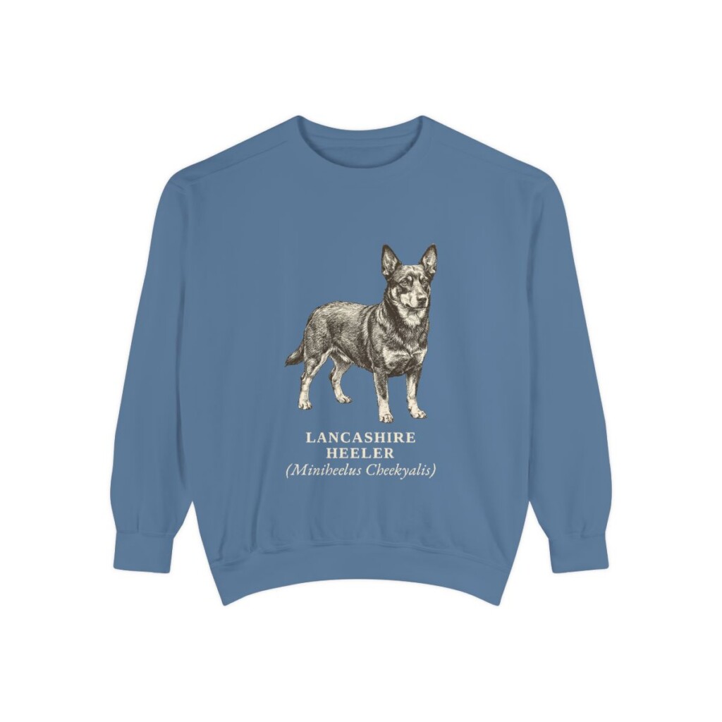 lancashire-heeler-sweatshirt-latin-blue-jean-1 Lancashire Heeler Latin Sweatshirt, Blue Jean, front view