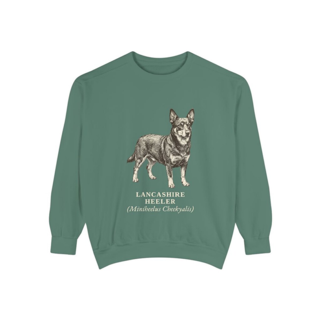 lancashire-heeler-sweatshirt-latin-light-green-1 Lancashire Heeler Latin Sweatshirt, Light Green, front view
