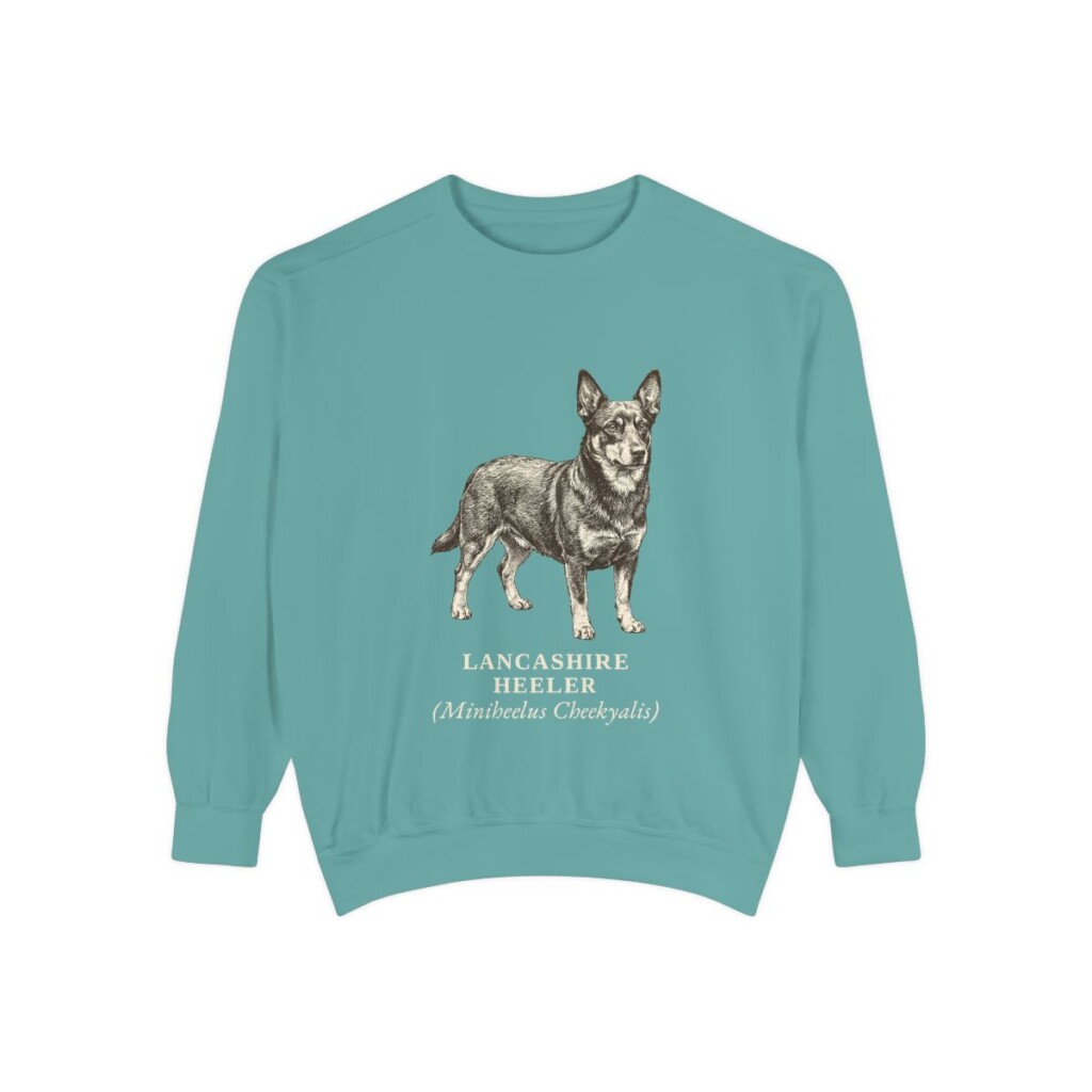 lancashire-heeler-sweatshirt-latin-seafoam-1 Lancashire Heeler Latin Sweatshirt, Seafoam, front view