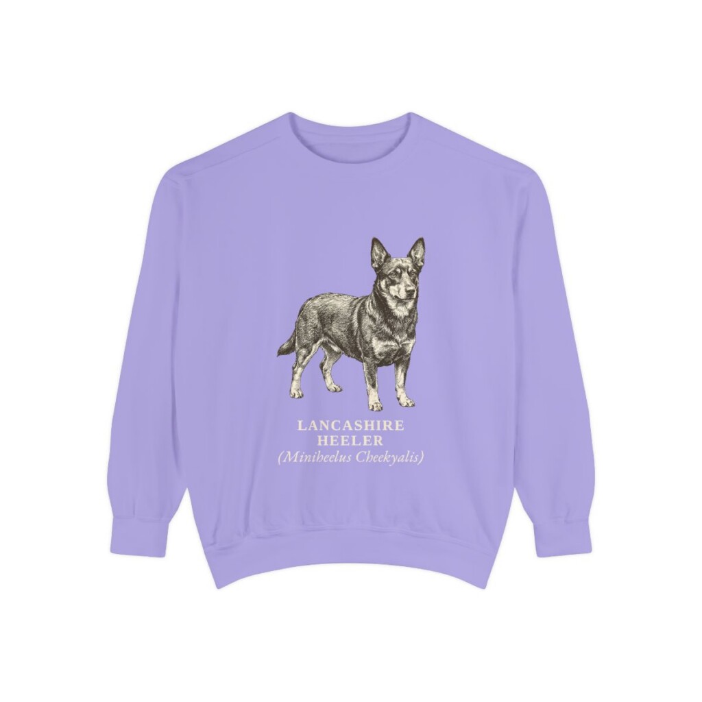 lancashire-heeler-sweatshirt-latin-violet-1 Lancashire Heeler Latin Sweatshirt, Violet, front view