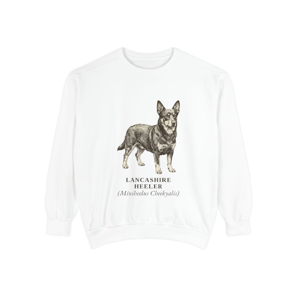 lancashire-heeler-sweatshirt-latin-white-1 Lancashire Heeler Latin Sweatshirt, White, front view