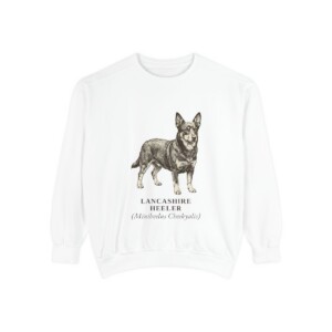 Lancashire Heeler Latin Sweatshirt, White, front view