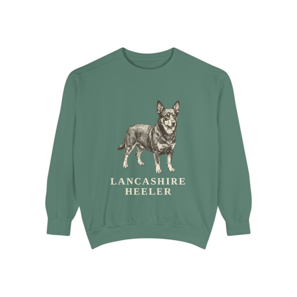 Lancashire Heeler Sweatshirt, Light Green, front view