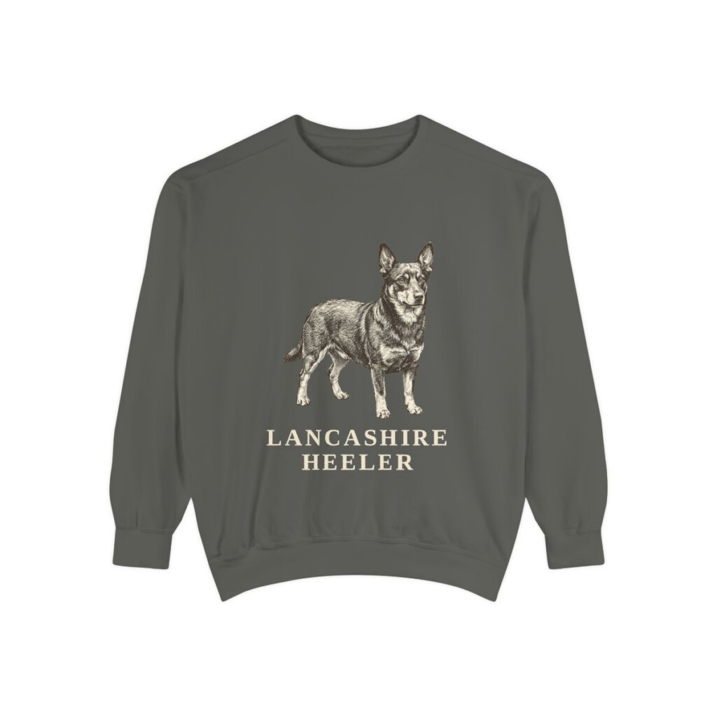 Lancashire Heeler Sweatshirt, Pepper, front view