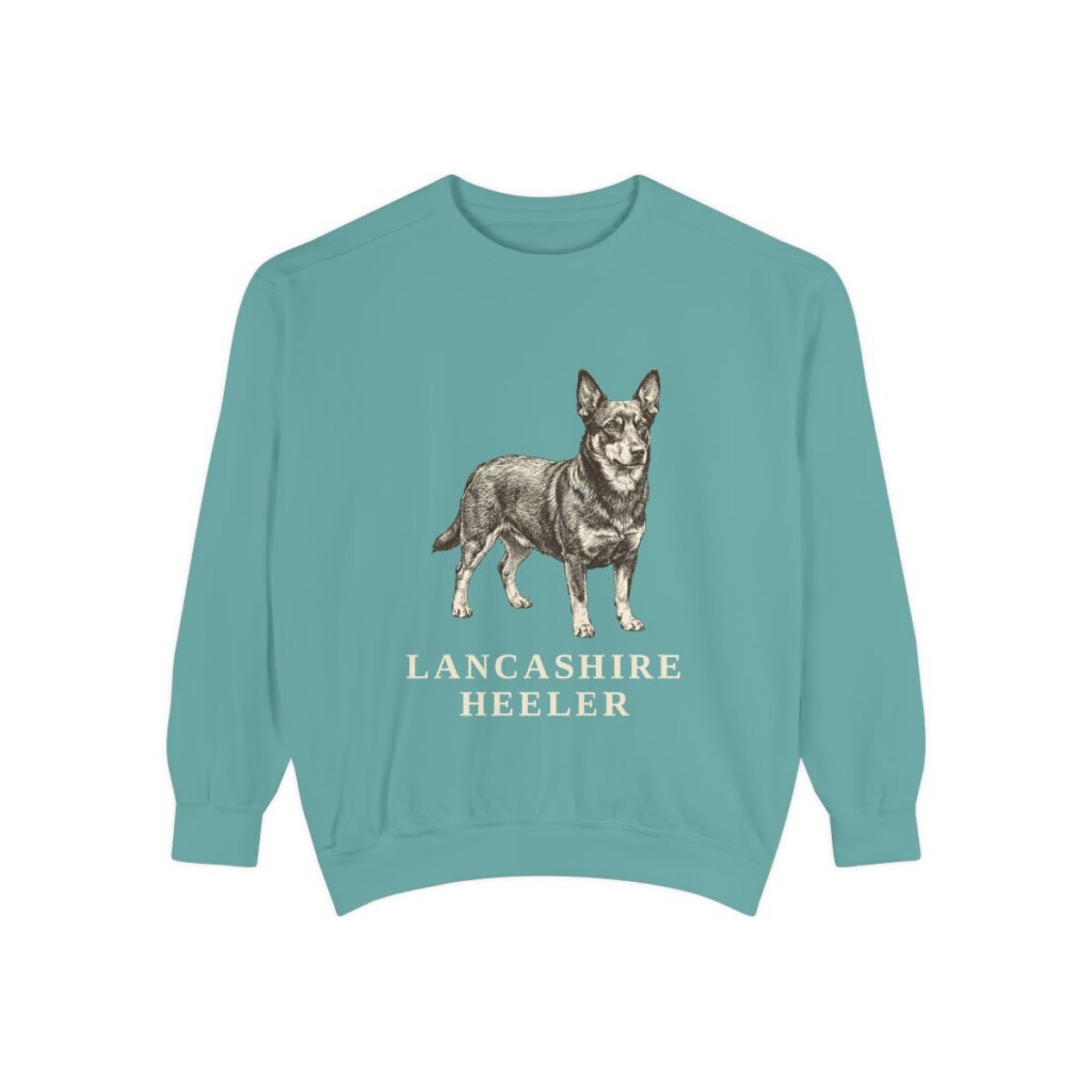 Lancashire Heeler Sweatshirt, Seafoam, front view