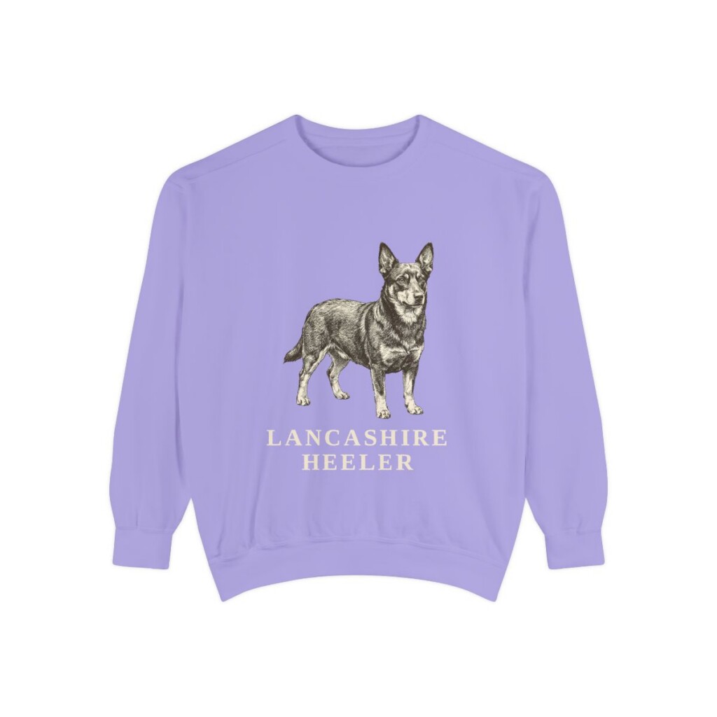 Lancashire Heeler Sweatshirt, Violet, front view