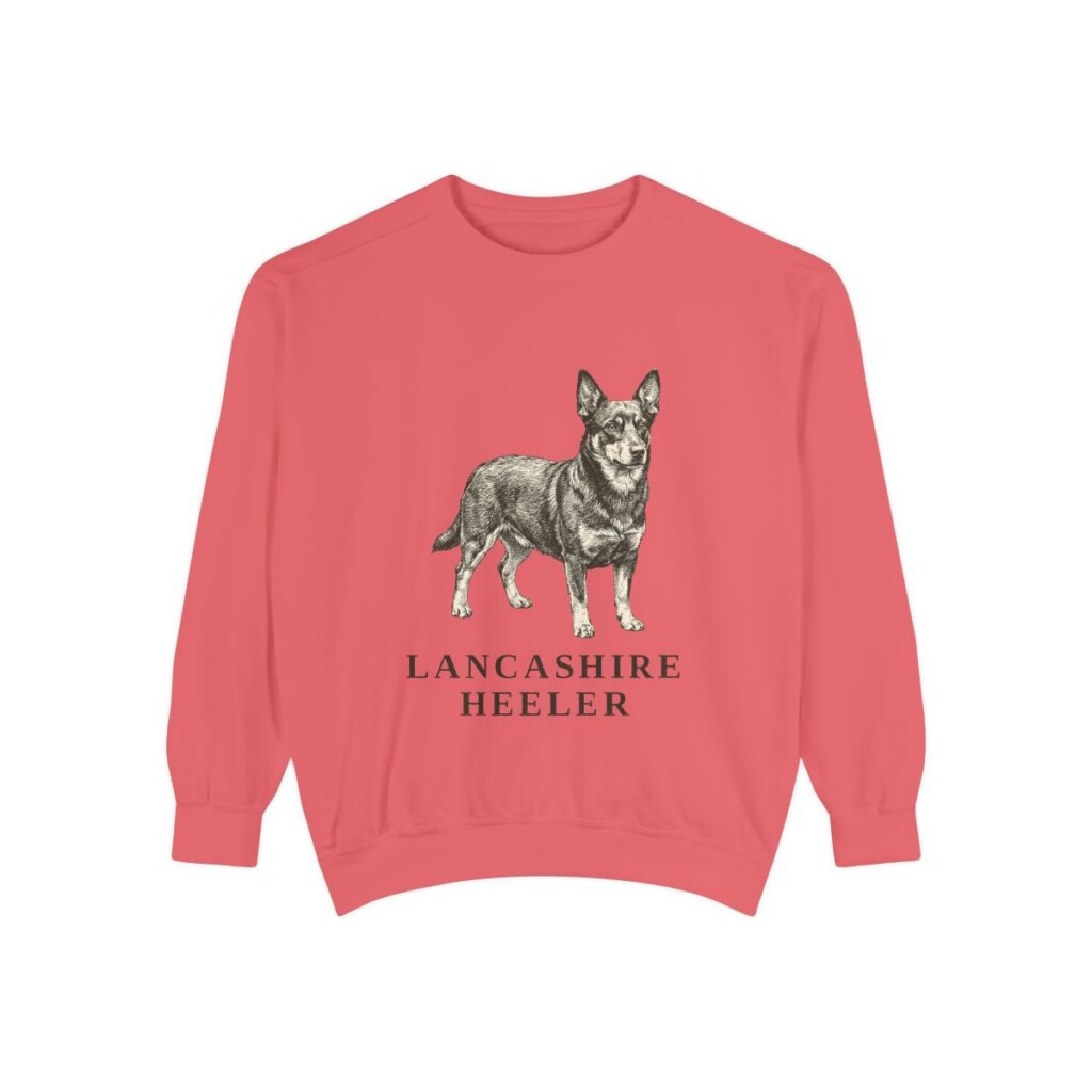 Lancashire Heeler Sweatshirt, Watermelon, front view