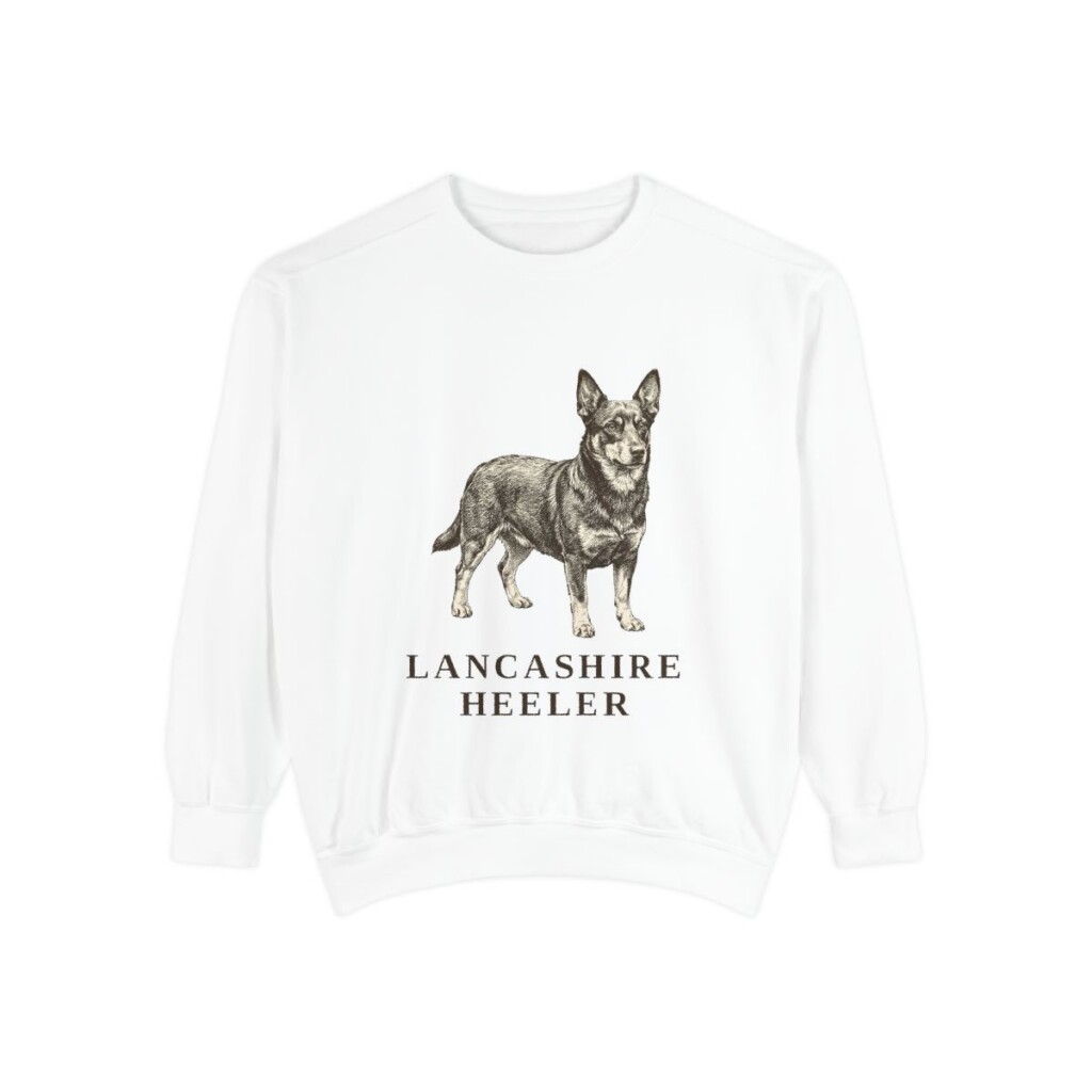 Lancashire Heeler Sweatshirt, White, front view
