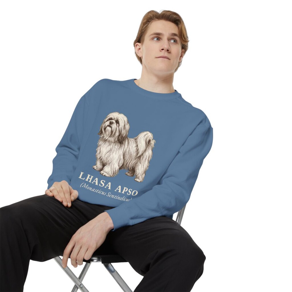 Lhasa Apso Latin Sweatshirt, Blue Jean, person 1 context