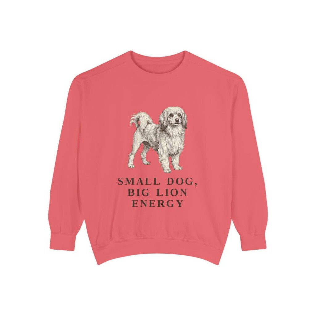 lowchen-sweatshirt-humor-watermelon Lowchen Humor Sweatshirt, Watermelon, front view