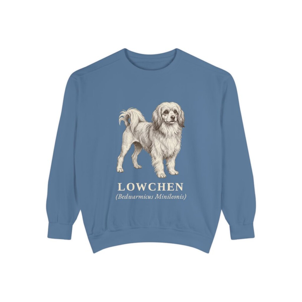 Lowchen Latin Sweatshirt, Blue Jean, front view