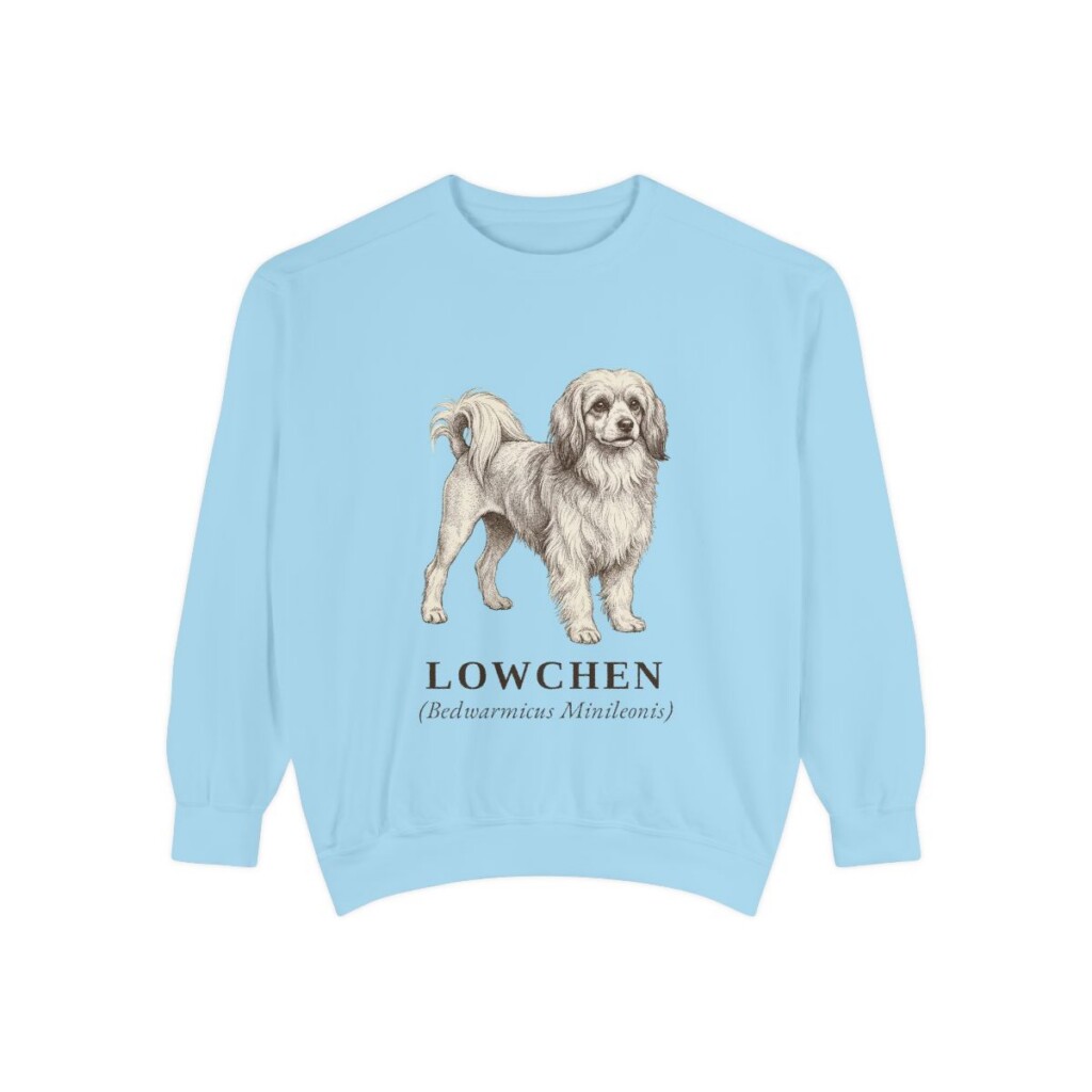 Lowchen Latin Sweatshirt, Chambray, front view