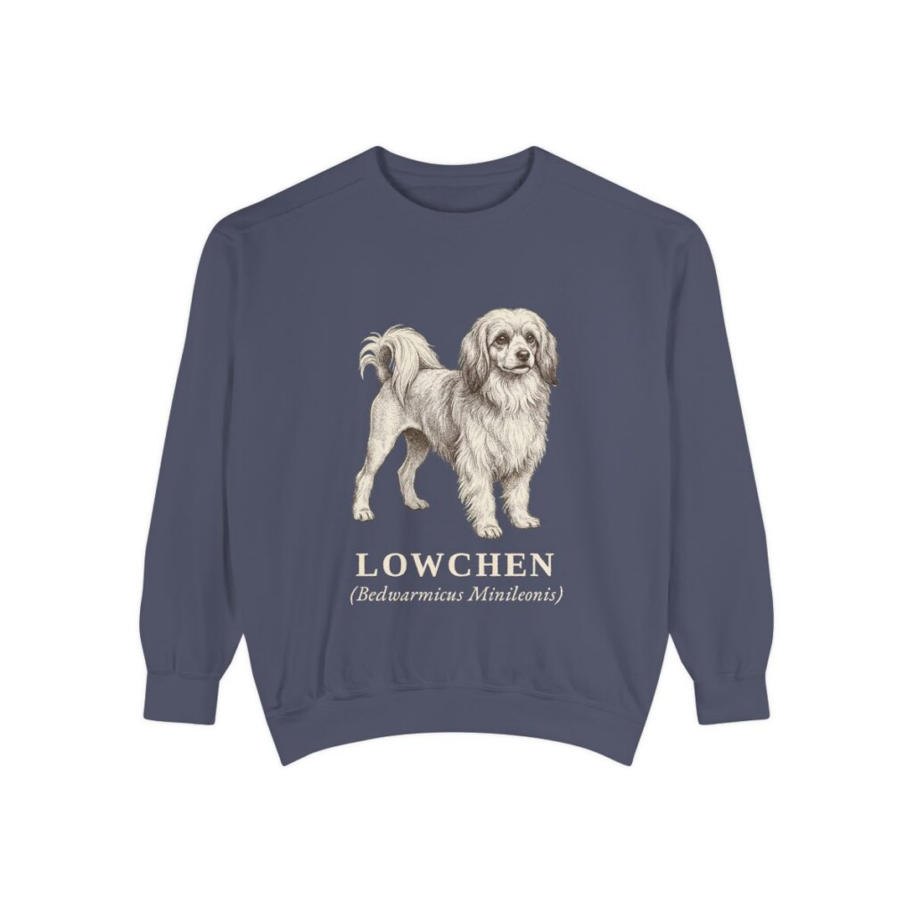 Lowchen Latin Sweatshirt, Denim, front view