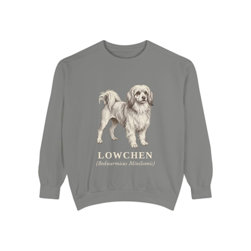 Lowchen Latin Sweatshirt, Grey, front view
