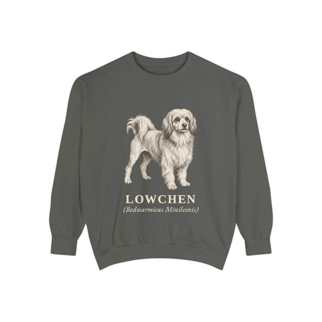 Lowchen Latin Sweatshirt, Pepper, front view