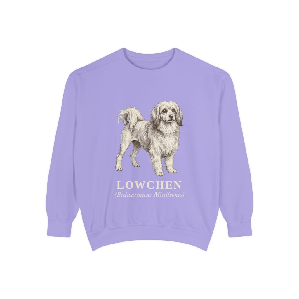 Lowchen Latin Sweatshirt, Violet, front view