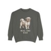 mal-shi-sweatshirt-dad-pepper Mal-Shi Dad Sweatshirt, Pepper, front view
