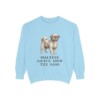 Mal-Shi Humor Sweatshirt, Chambray, front view