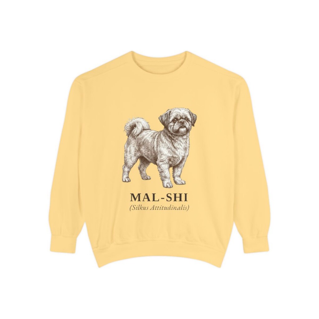 Mal-Shi Latin Sweatshirt, Butter, front view