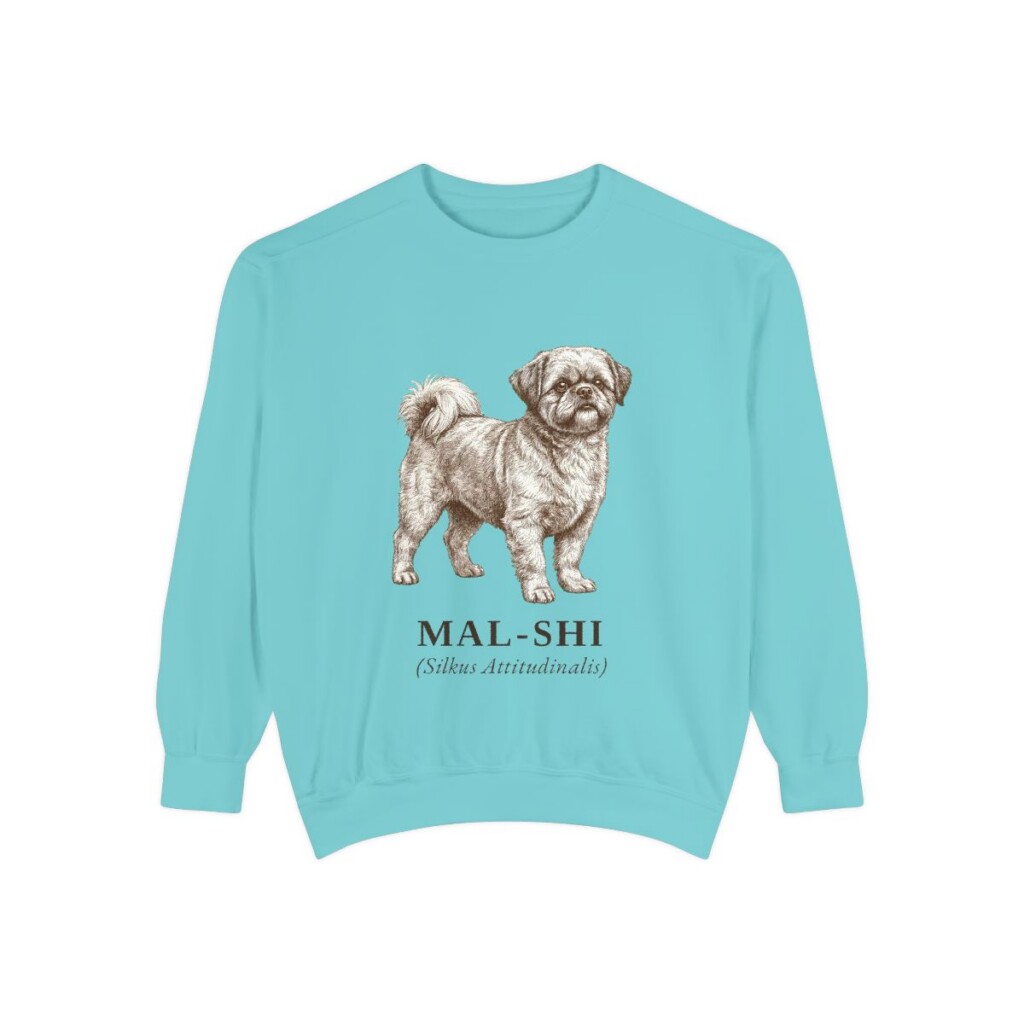 Mal-Shi Latin Sweatshirt, Chalky Mint, front view
