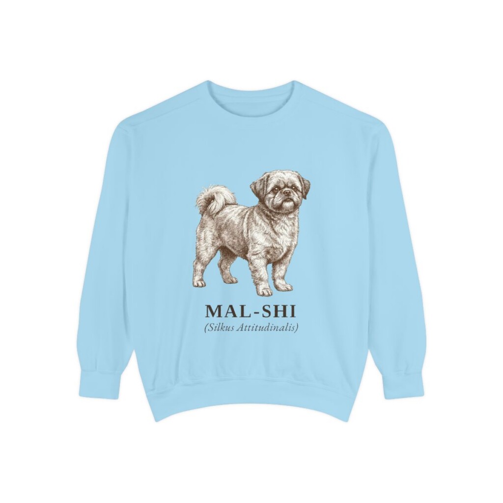 Mal-Shi Latin Sweatshirt, Chambray, front view