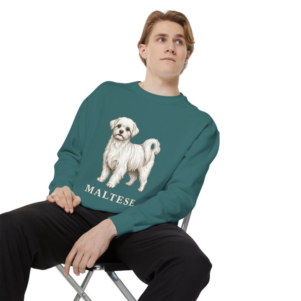 Maltese Sweatshirt, Blue Spruce, person 1 context