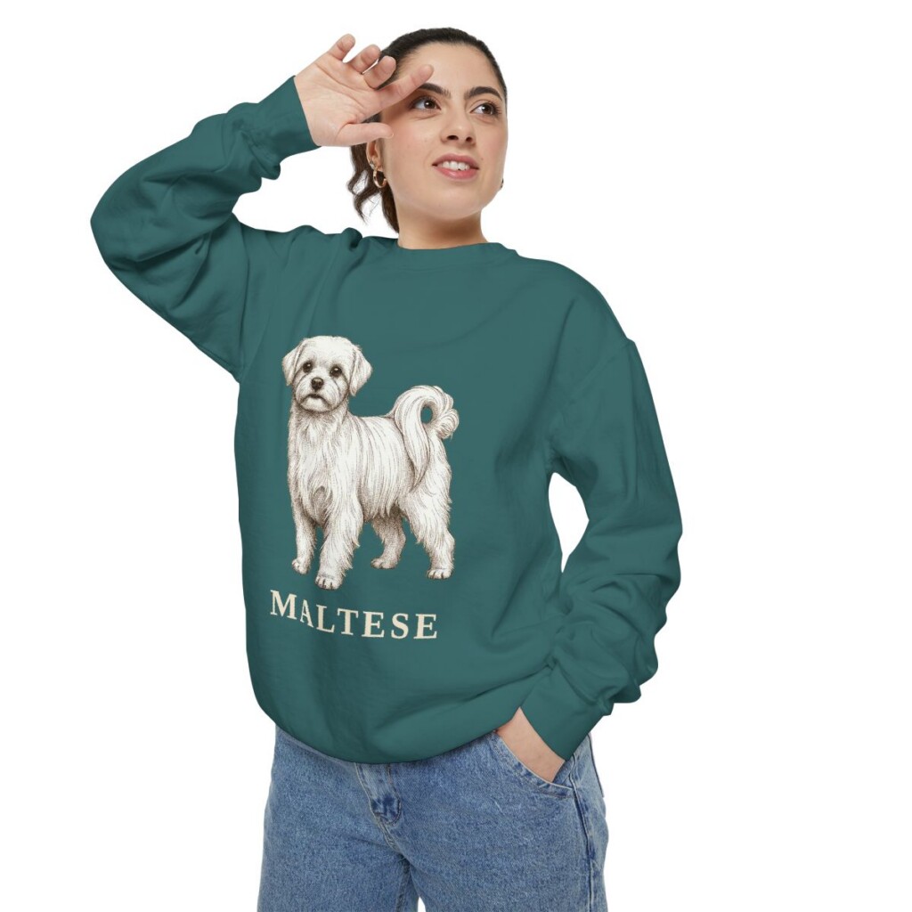 Maltese Sweatshirt, Blue Spruce, person 2 context